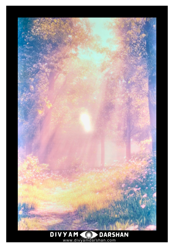 A pathway leads through a golden sunlight filtering through the tree branches.