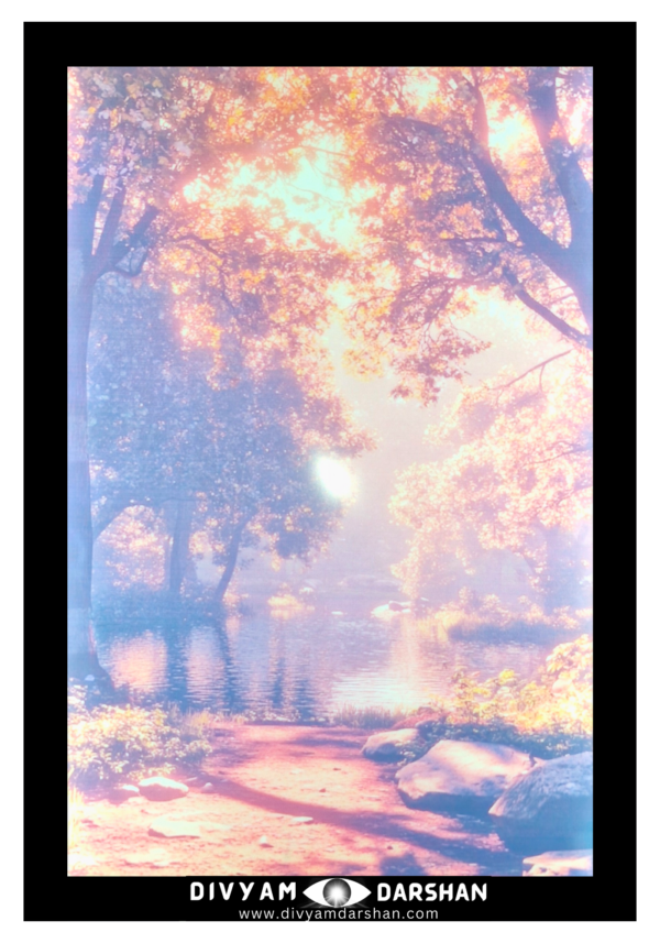 A serene lake with birds flying over evoking a calm atmosphere.